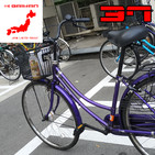 embed image