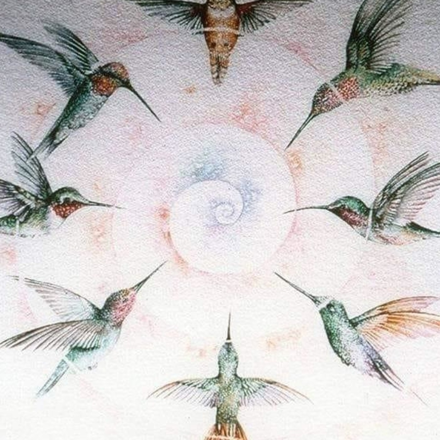 Concentus Jacobus nº 2, 080620 episode artwork