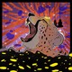 pet cheetah VR