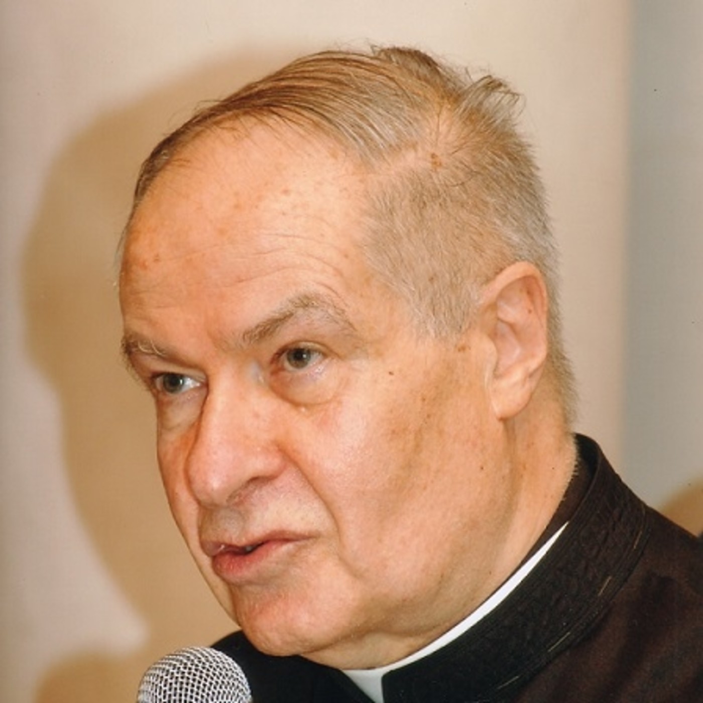 Padre Alfredo Saenz - La Cristiandad y su cosmovisión episode artwork