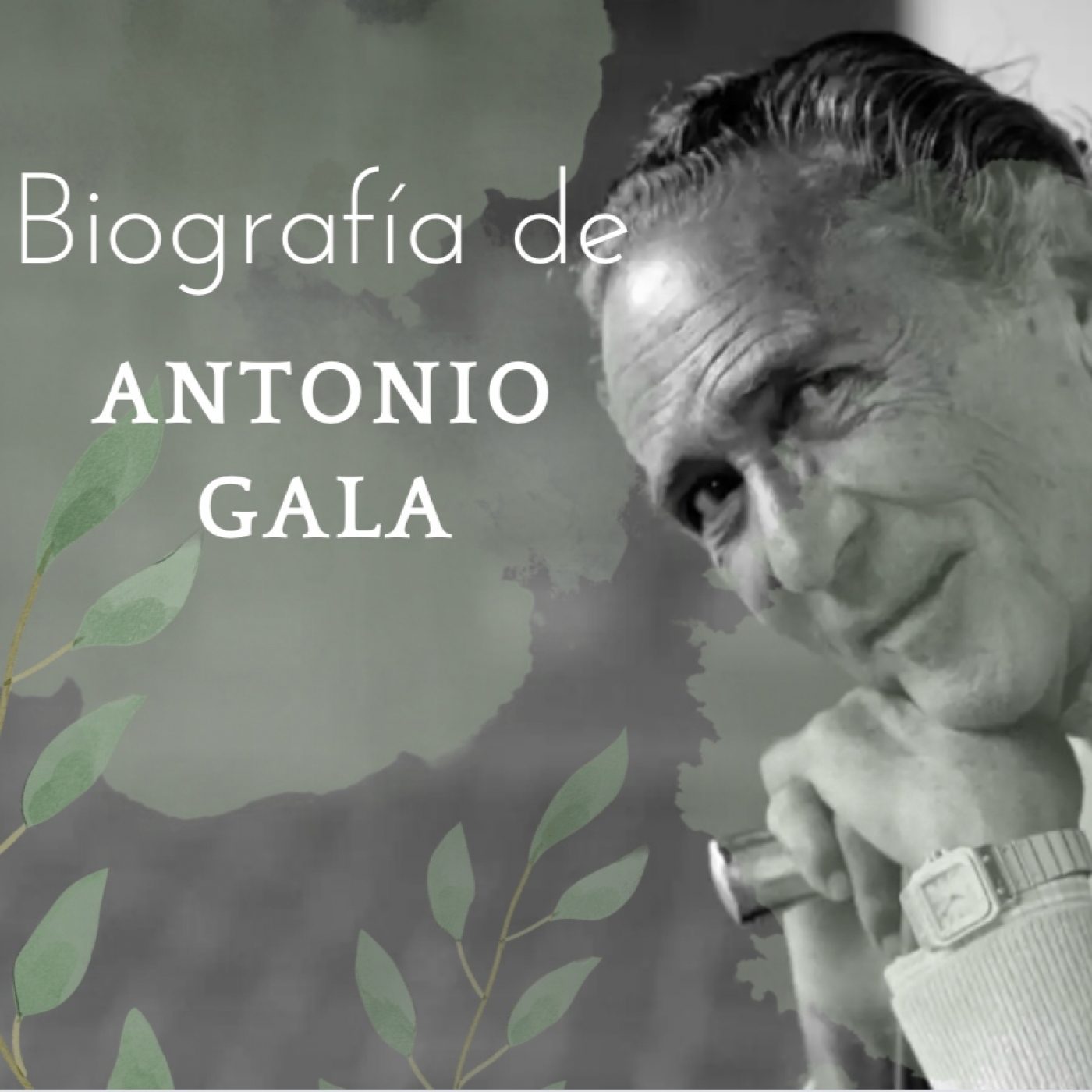 Dial Saavedra