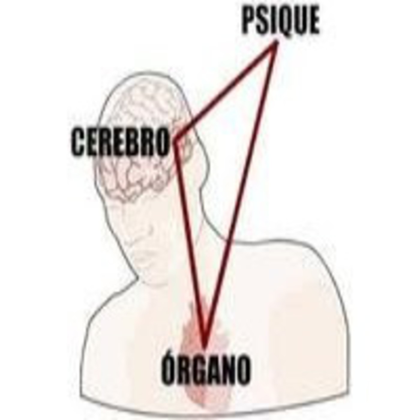 Desactivando Conflictos