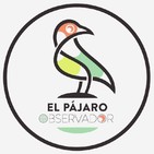 30. Un Centro de Educación de Personas Adultas (avance)