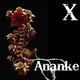 Ananke - Décima Sesión