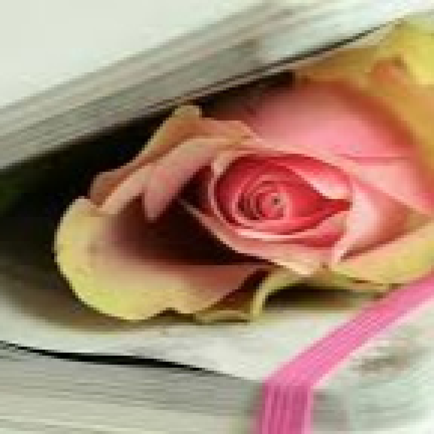 »Entre poemas y canciones»