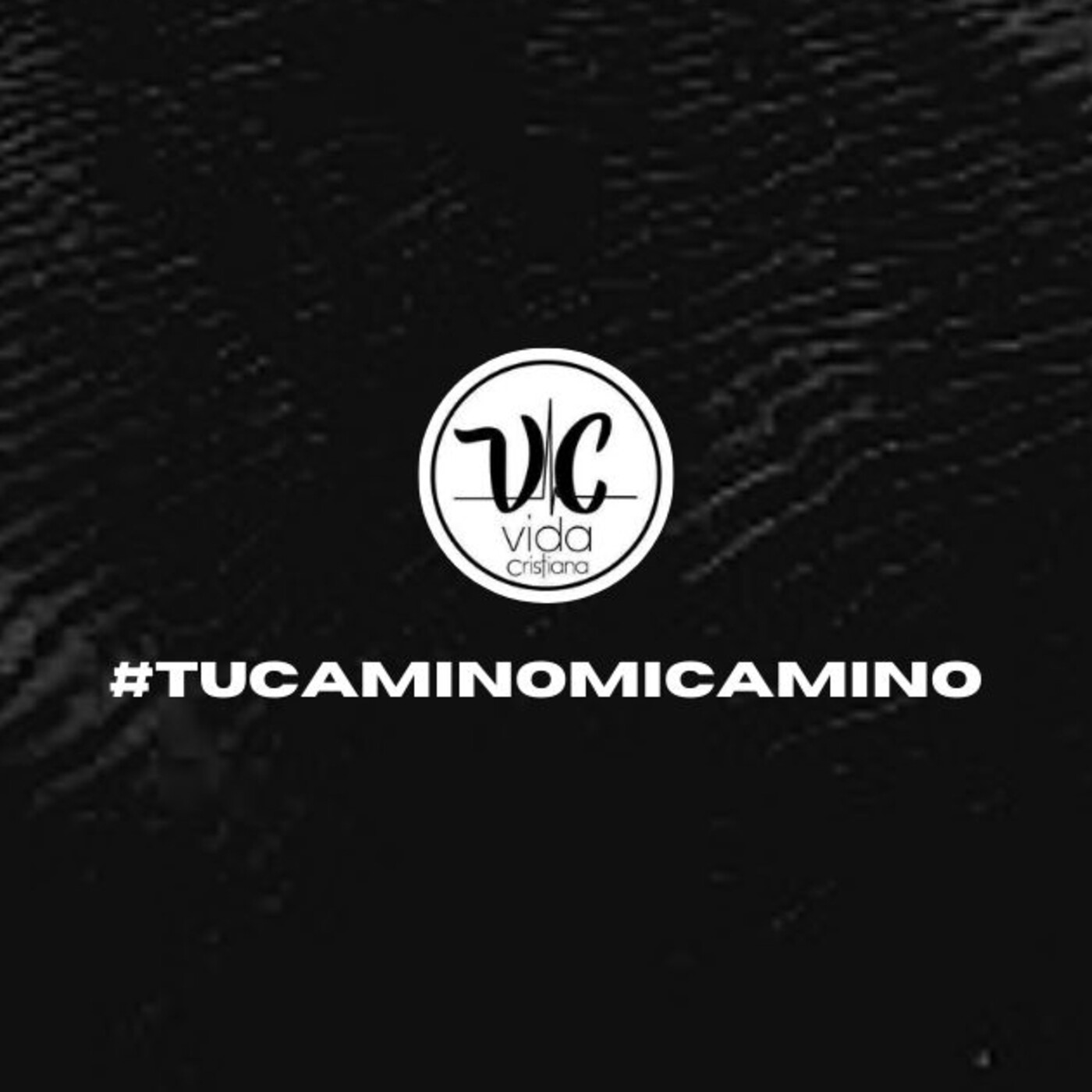 Vida Cristiana Puebla