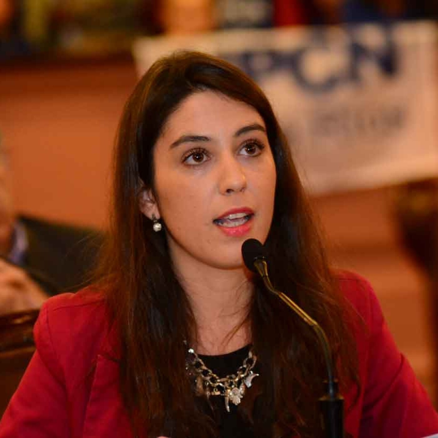 Podcast de FM del Este