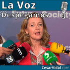 Despegamos: Pedro y Pablo: los Picapiedra nos devuelven al pasado - 20/11/19