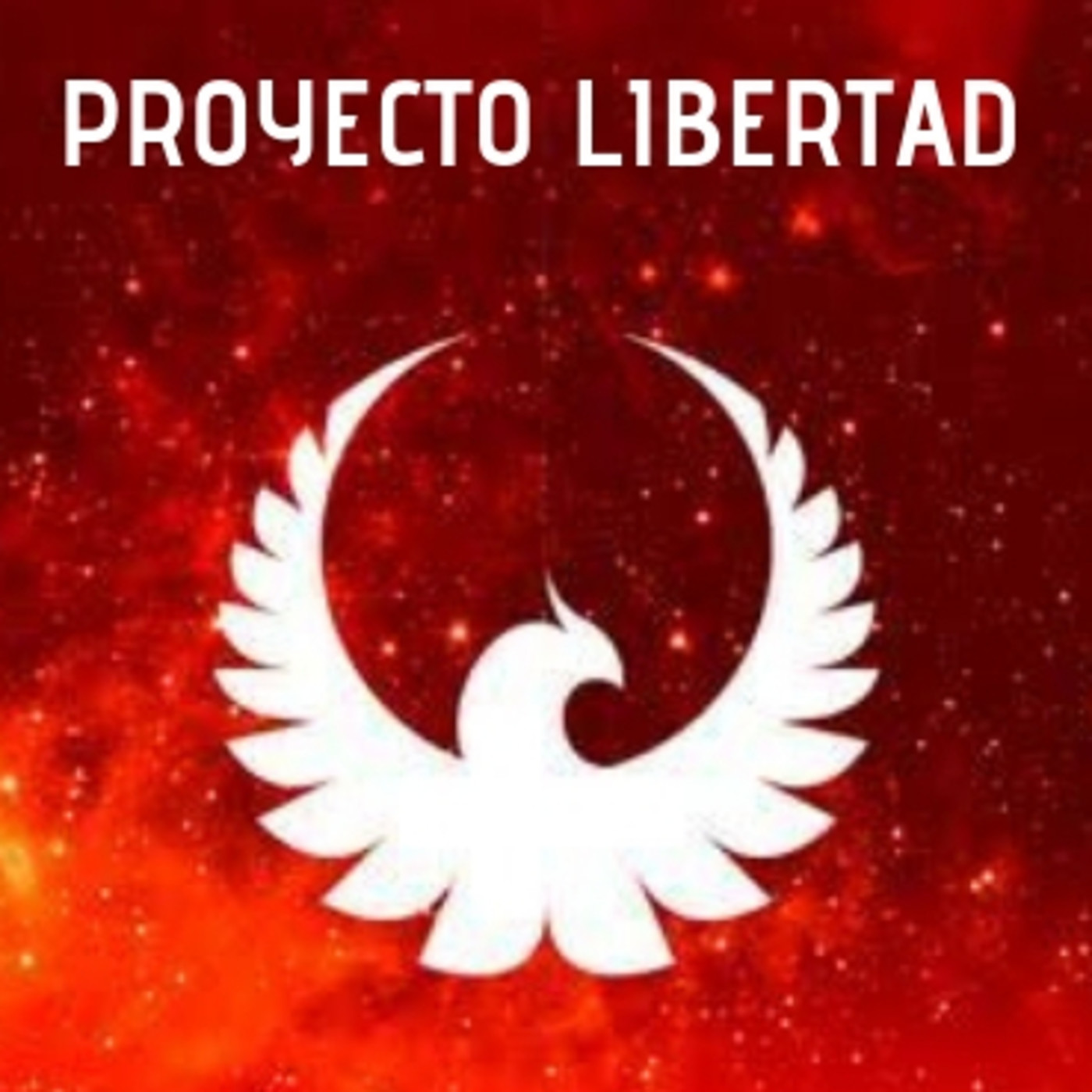 SEMINARIO FENIX
