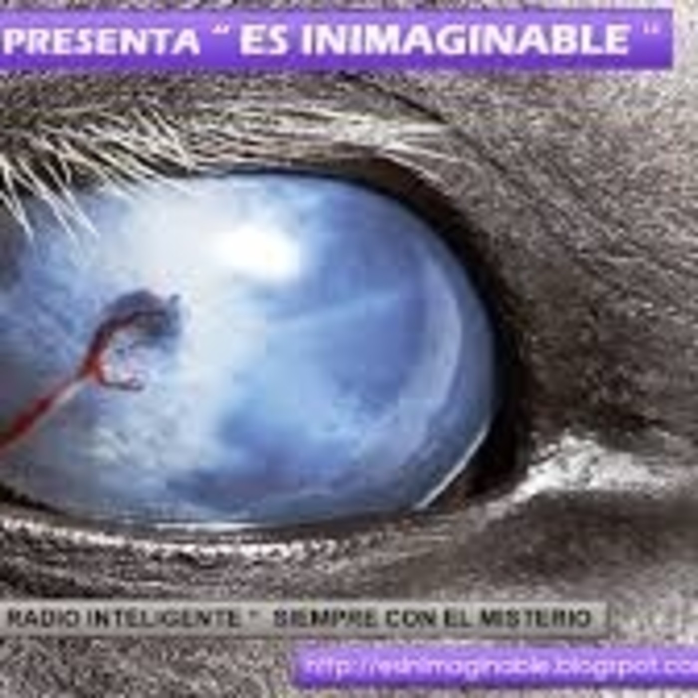 Podcast RADIO TORREPARAISO