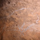 Descubrimientos excepcionales de Arte Parietal Paleolítico de la cueva de Aitzbitarte IV de Errenteria