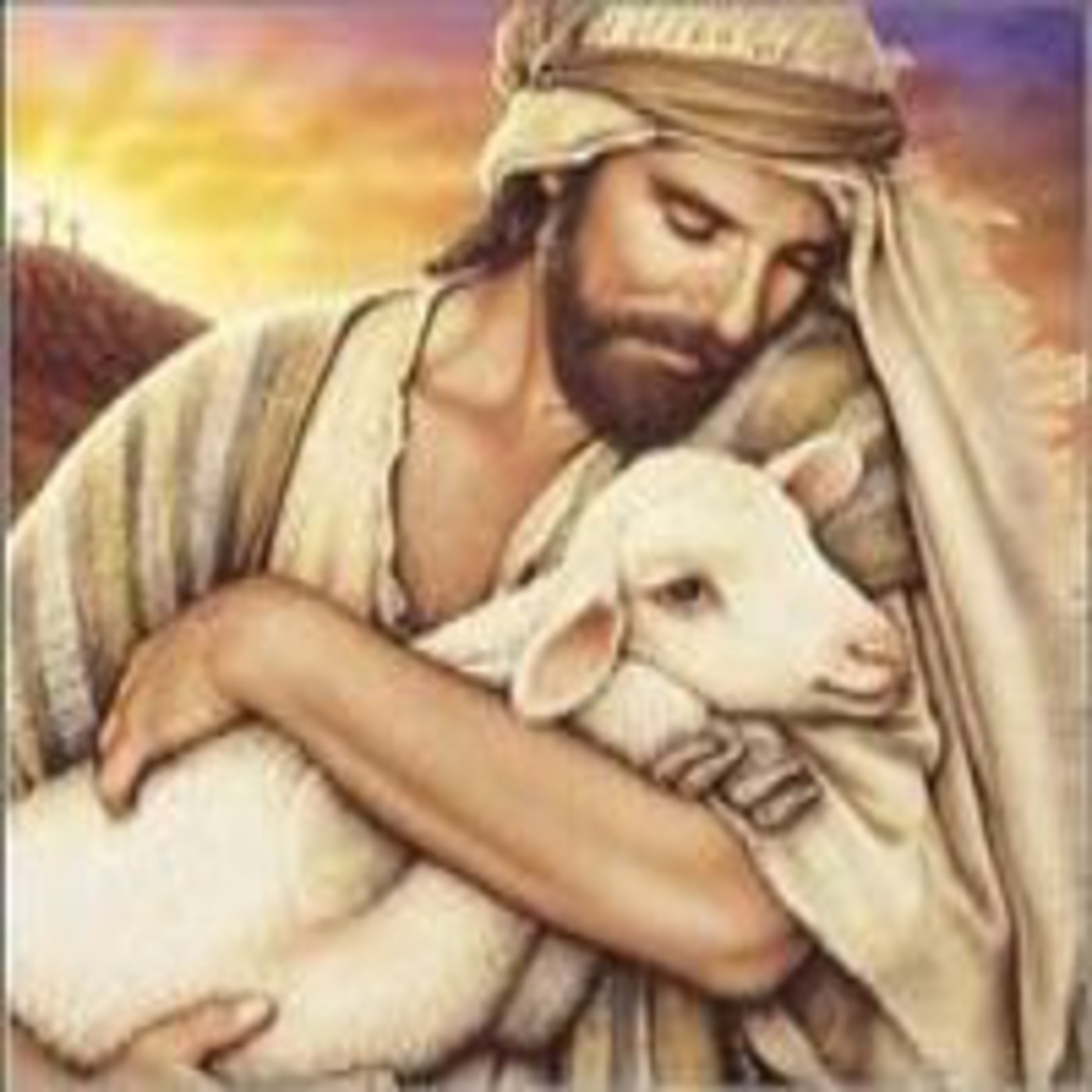 Reflexión homilética para el XVI domingo del Tiempo ordinario, Ciclo B episode artwork