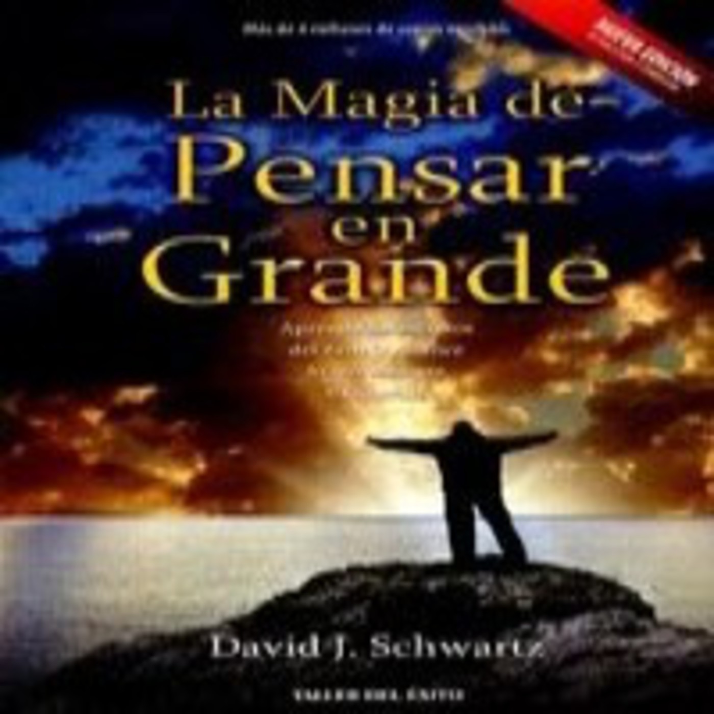 Podcast de damircoach