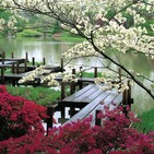Historia de los jardines II
