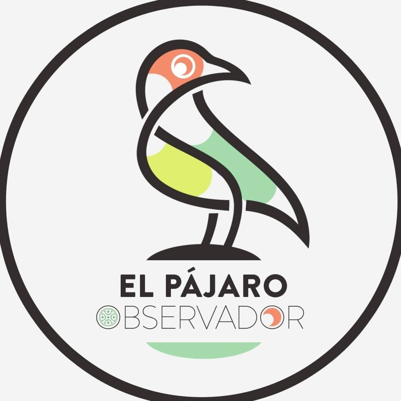 El Pájaro Observador