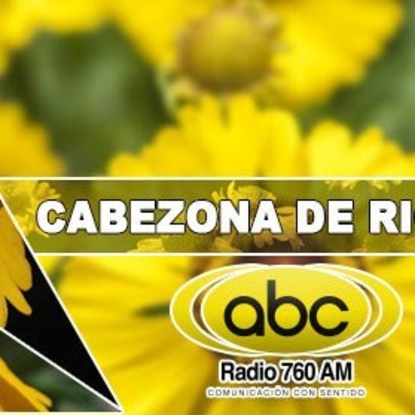 El Ángel de tu Salud - CABEZONA DE RIO II episode artwork