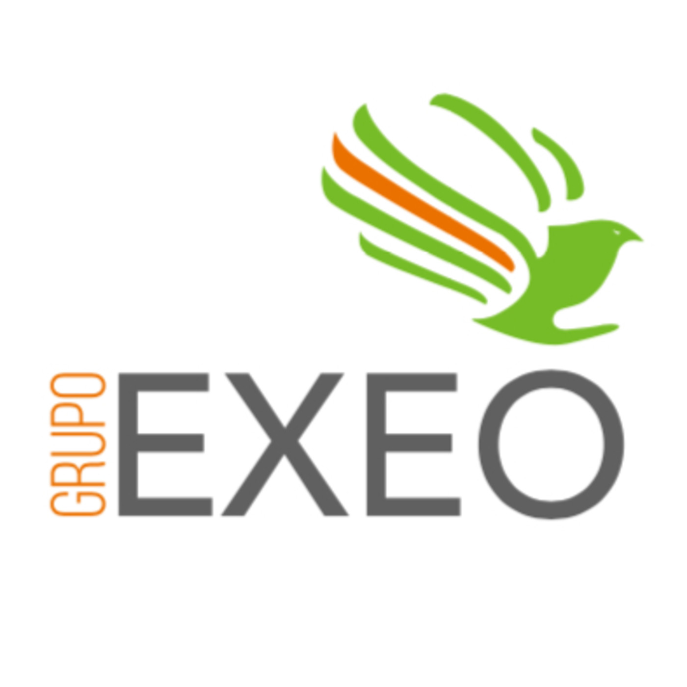 GRUPO EXEO