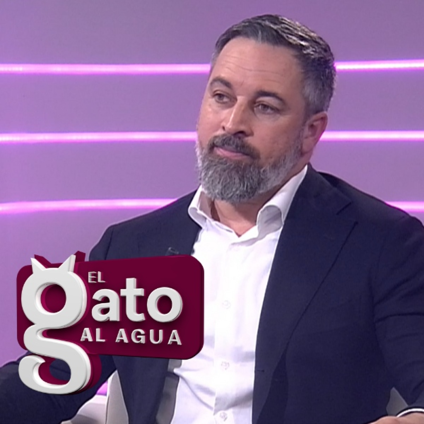 El Gato al agua