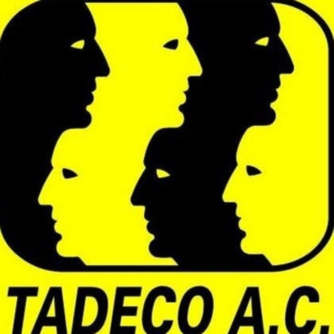 Audios Taller Desarrollo Comunitario A.C.