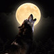 Noche de lobos (19-02-2019)