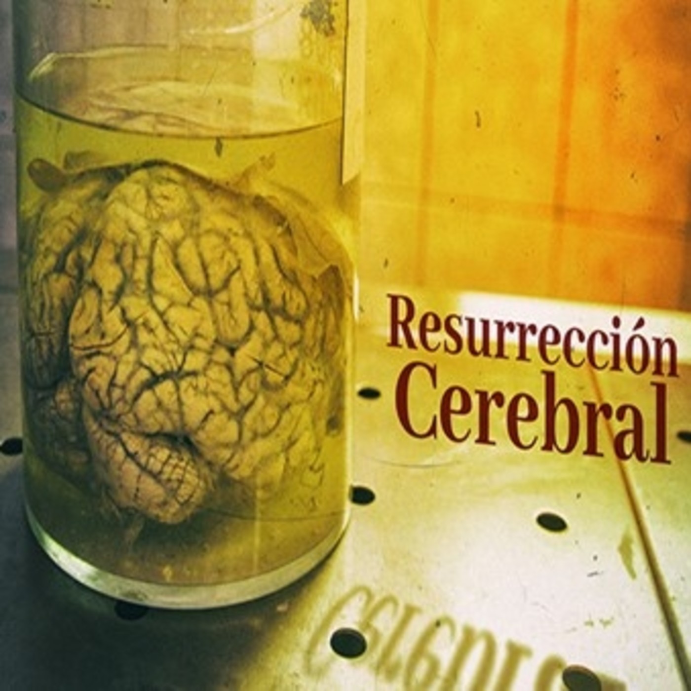 Cuarto Milenio: Resurrección cerebral