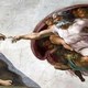 Sapere aude: Qui és Déu?
