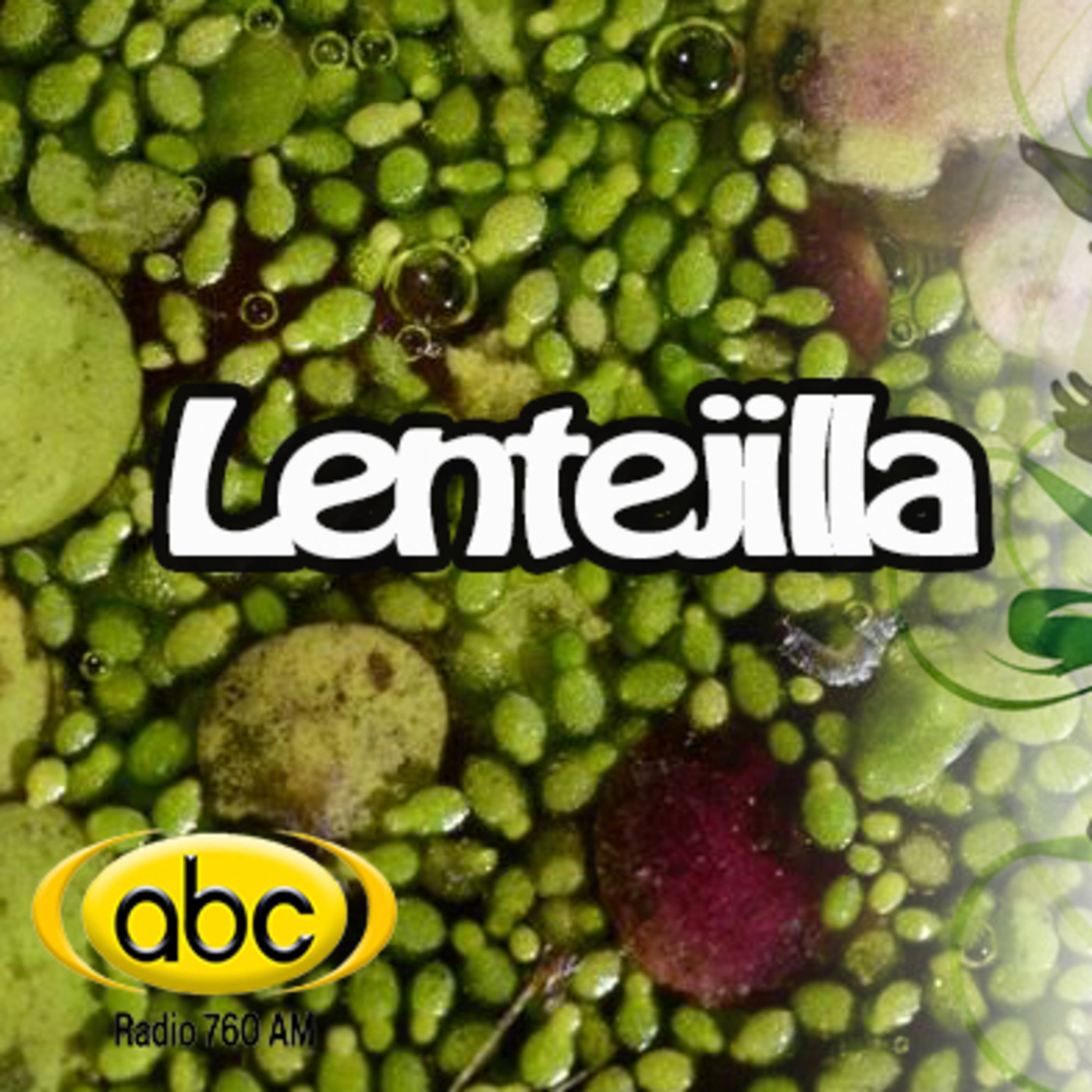 El Angel de tu Salud - LENTEJILLA