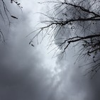 Haiku entre Silencios (1)