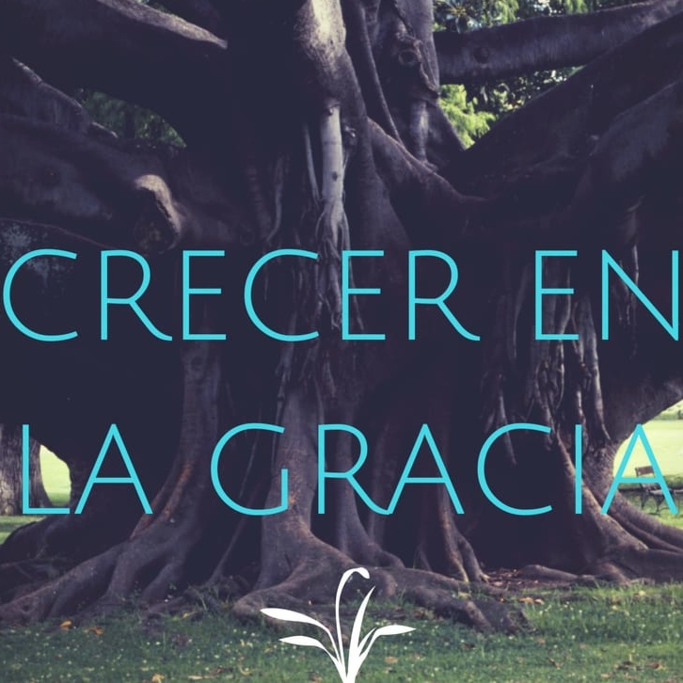 Crecer en la Gracia 8 Santidad - Pastor Kenneth Solá episode artwork