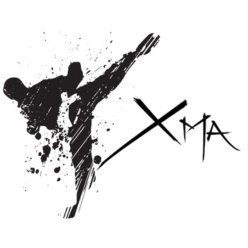 #11 La motivación en las artes marciales, el sistema de cinturones.