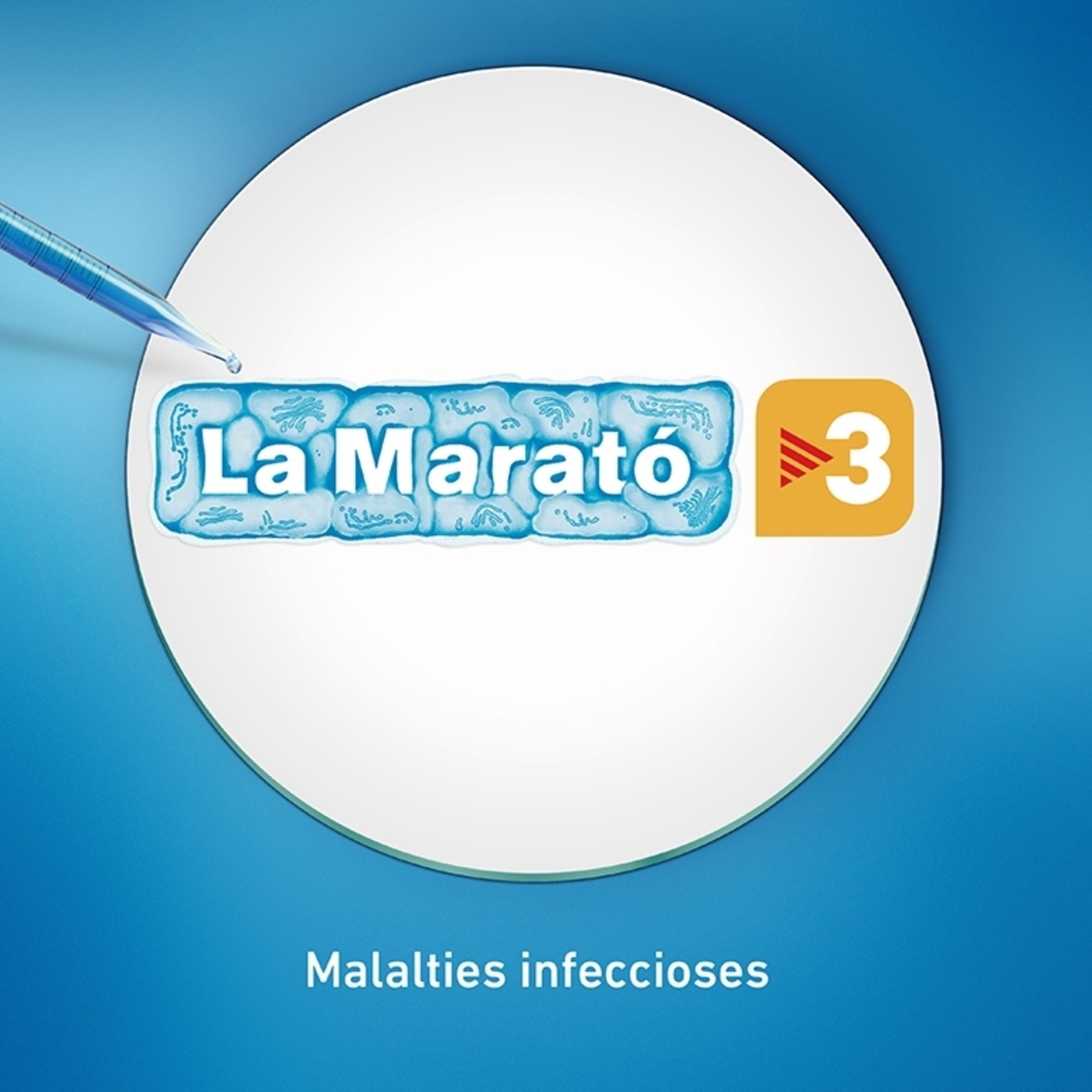 Preferències per la tele - RNE4