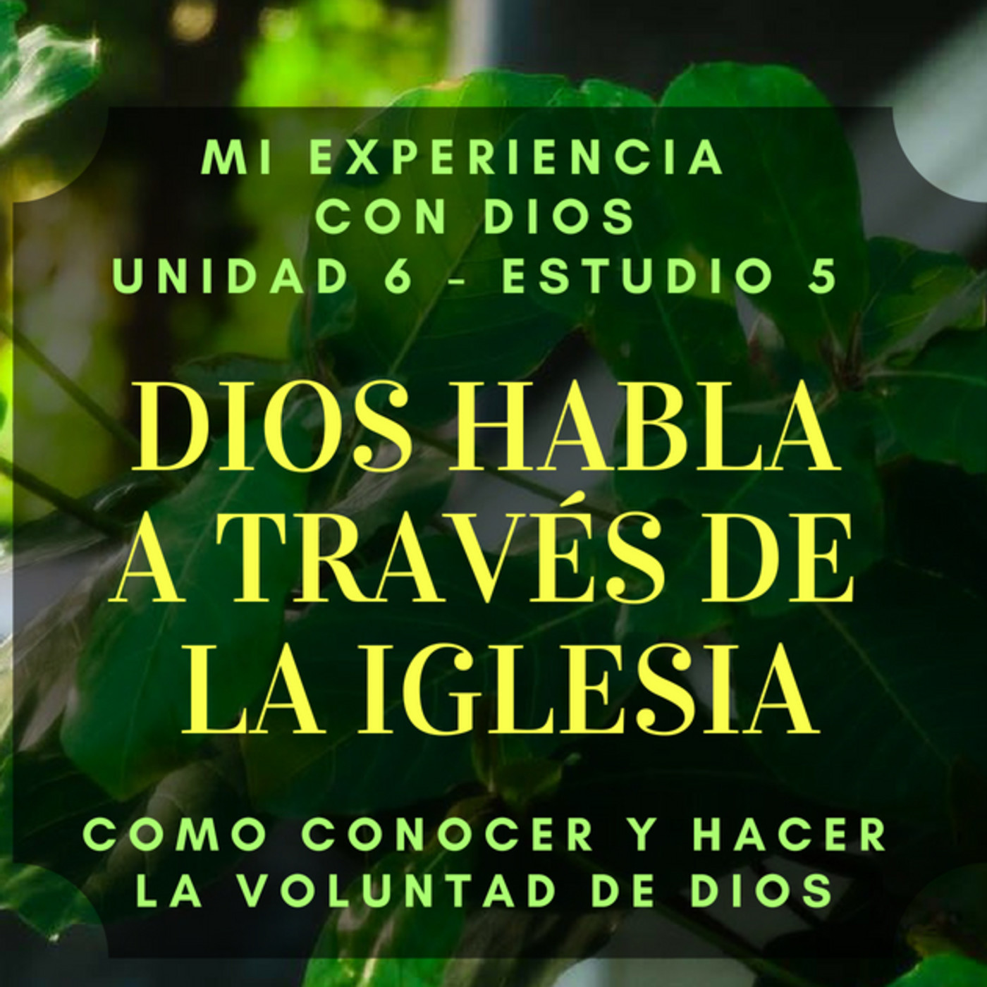 Mi Experiencia con Dios