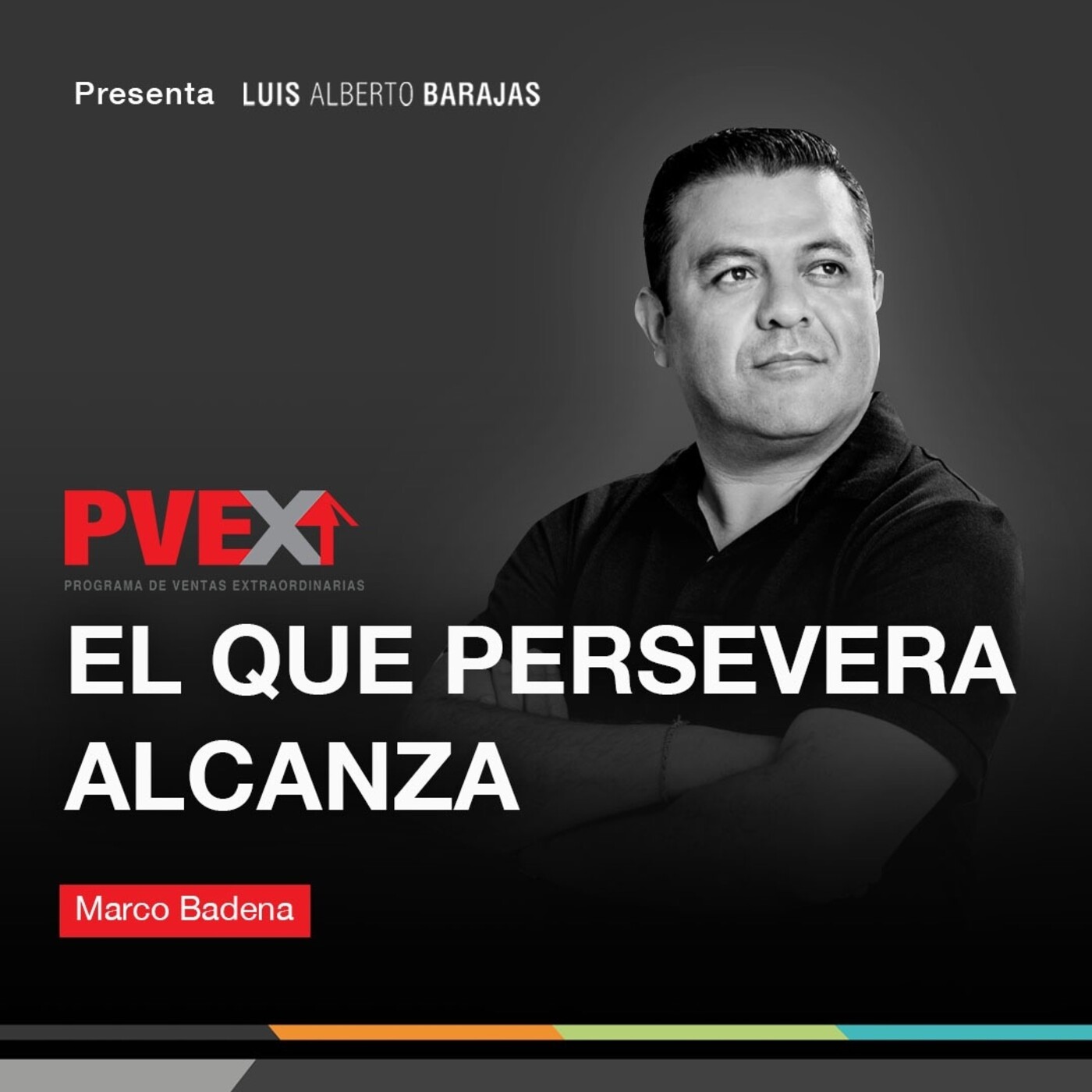 Programa de Ventas Extraordinarias (PVEX)