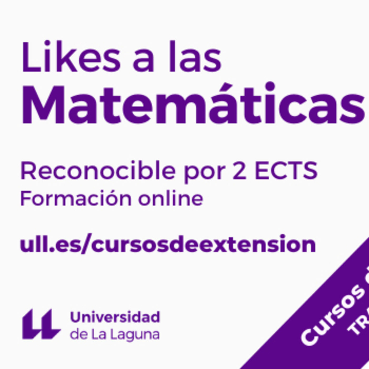 Cursos interdisciplinares y transdisciplinares