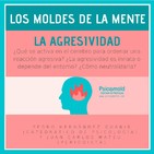 La agresividad. Los Moldes de la Mente.