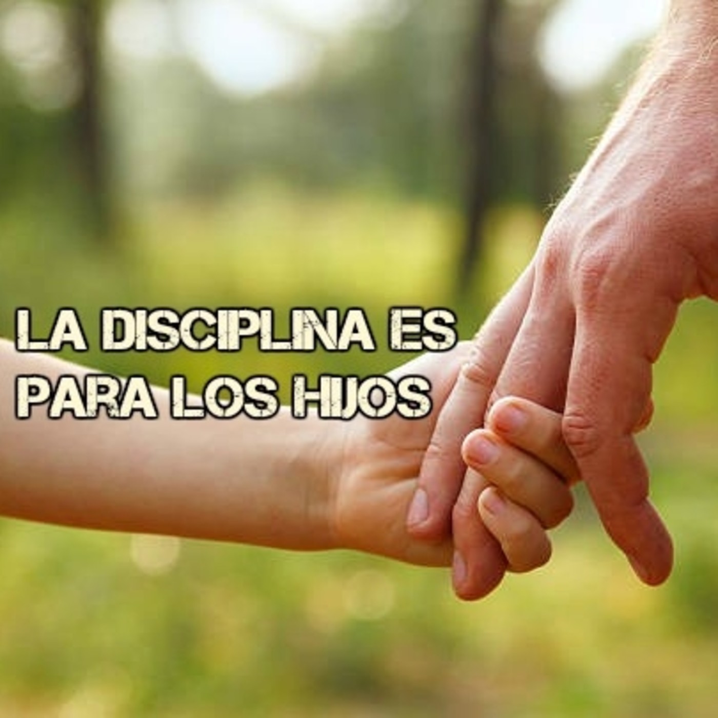 La disciplina es para los hijos episode artwork