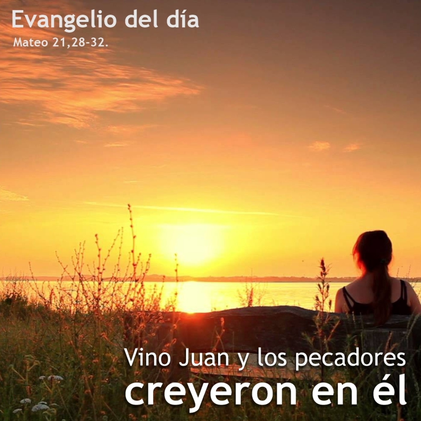 15 de diciembre de 2020