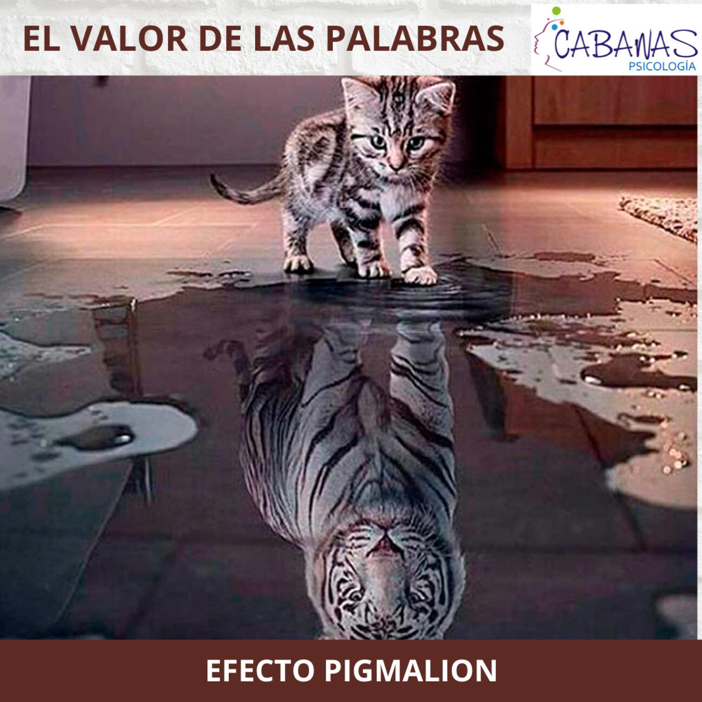 EL VALOR DE LAS PALABRAS