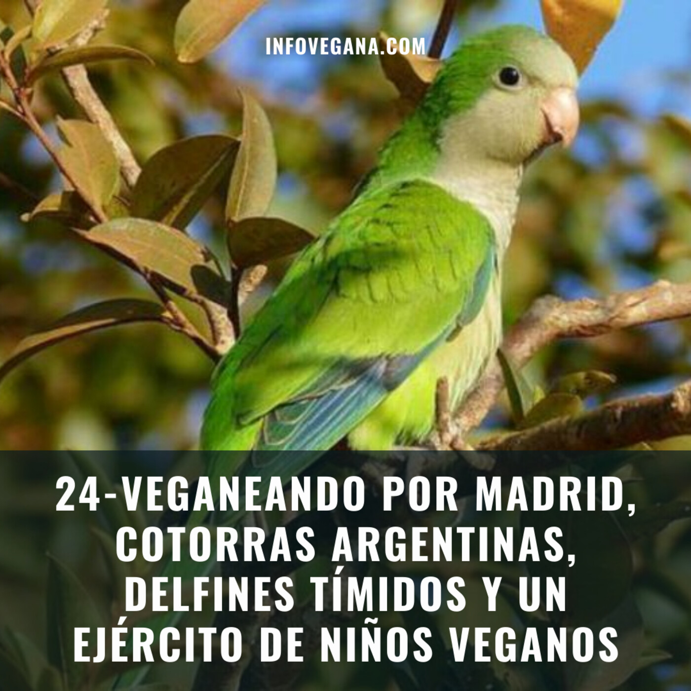 Infovegana, podcast de veganismo y sostenibilidad