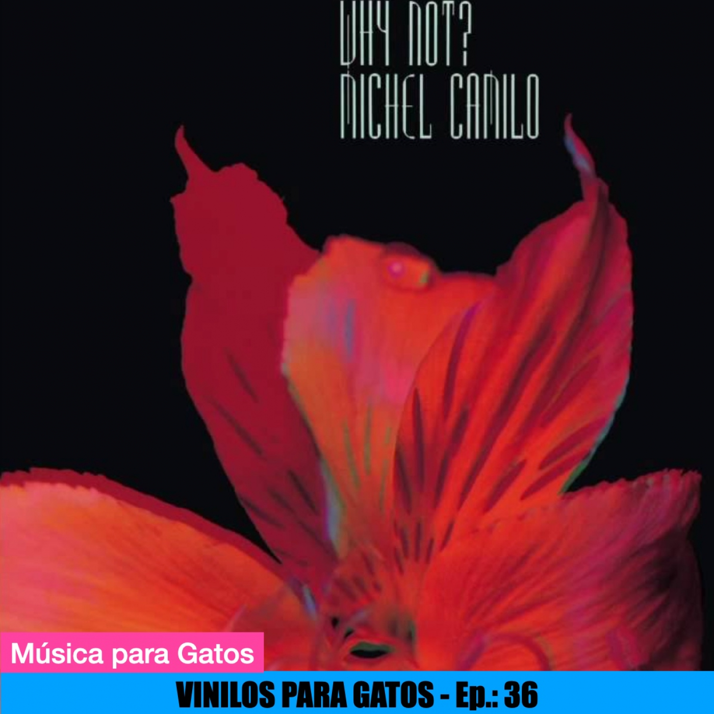 VINILOS PARA GATOS - Ep. 36- Michel Camilo - Why Not? (1985) episode artwork