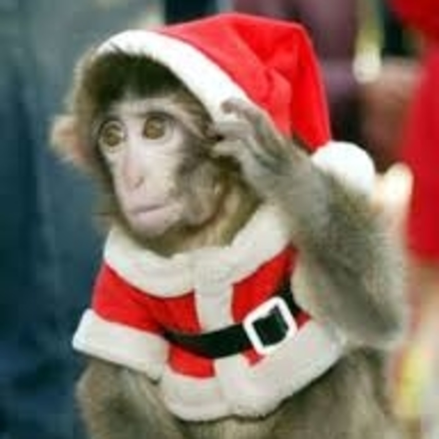 Podcast de El Palermo de los Simios