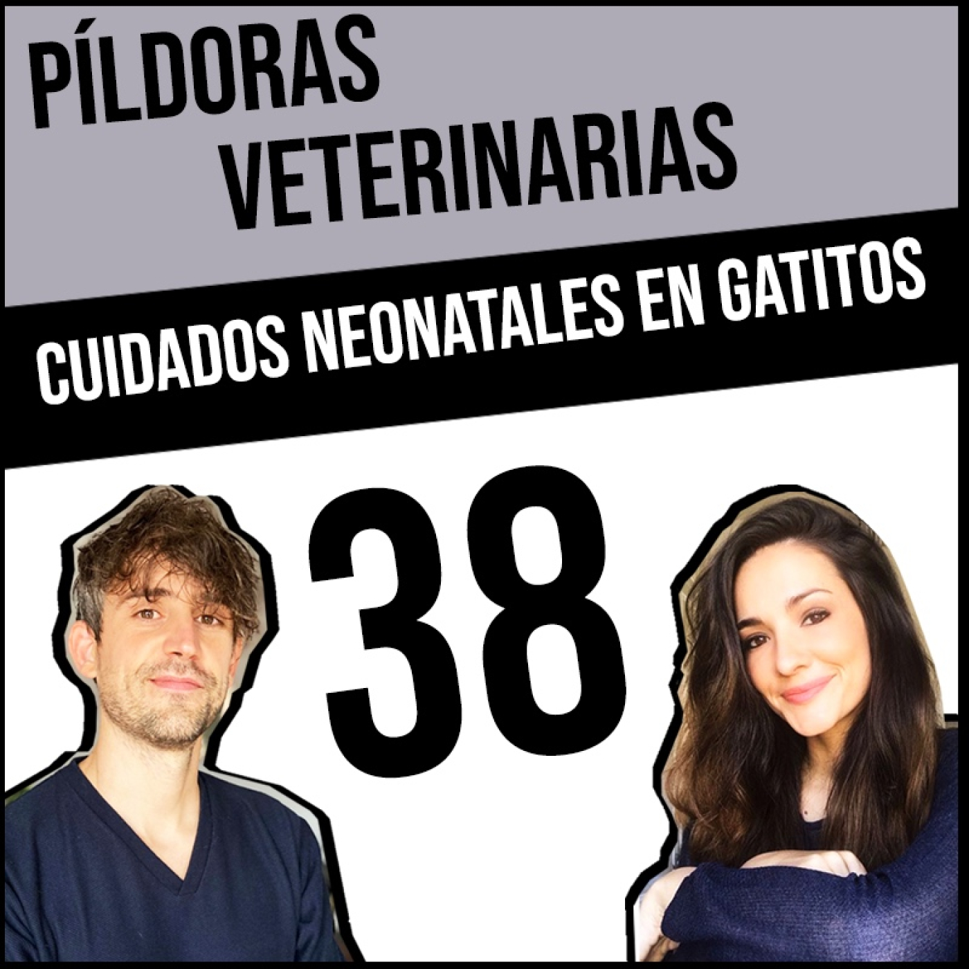 Píldoras Veterinarias