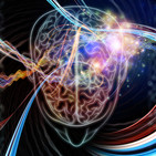 Los misterios del cerebro humano