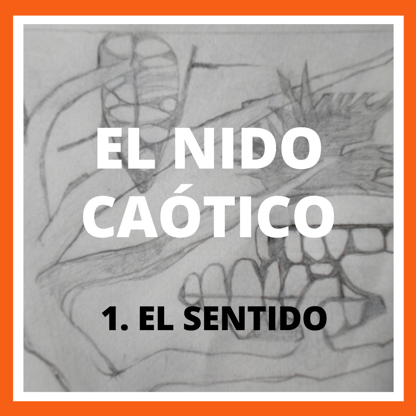 EL NIDO CAÓTICO