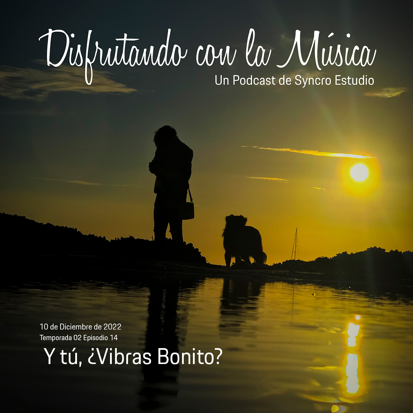 Disfrutando con la Música