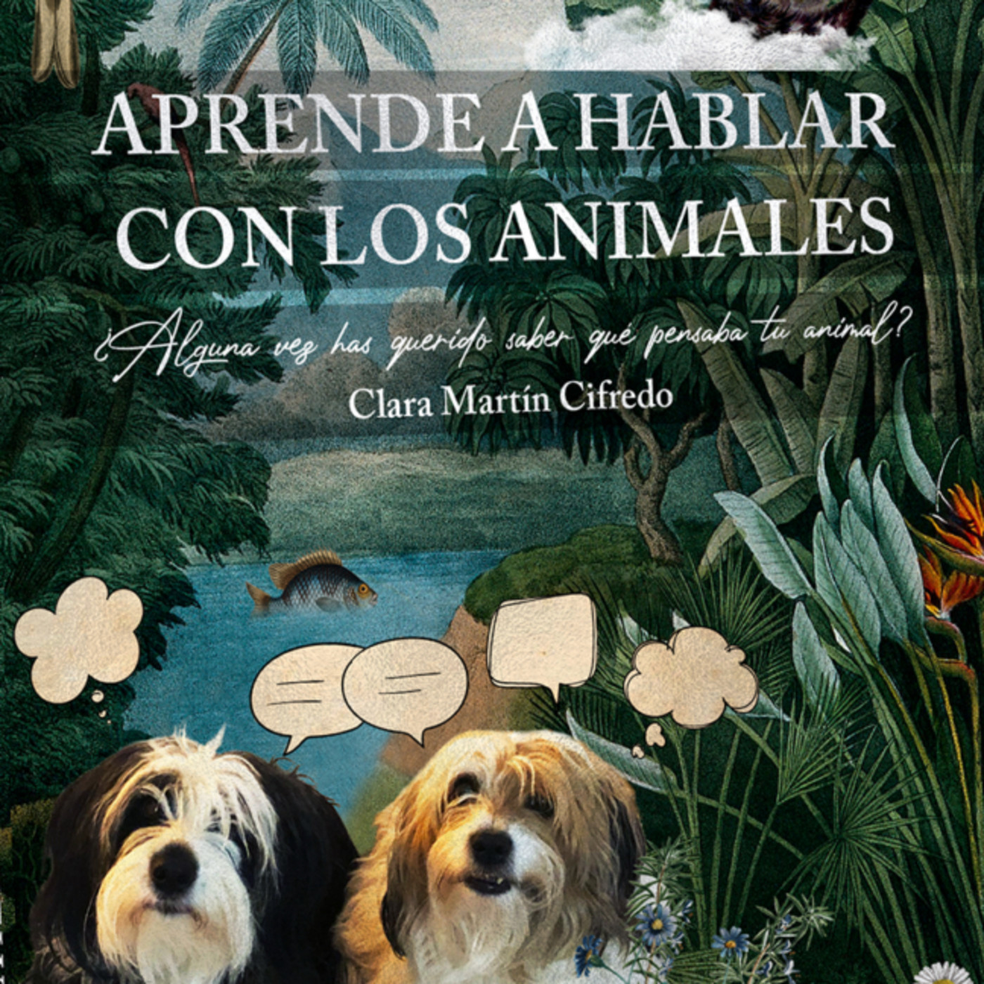 Clara Martin (Amanaturis) Presenta su libro en El Camarote episode artwork