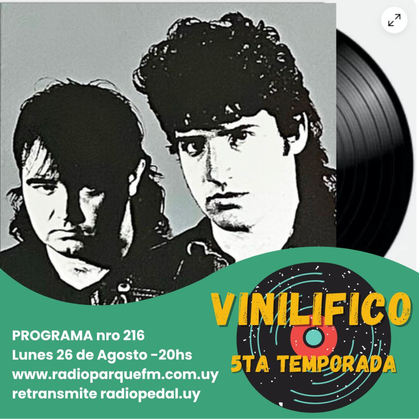 Vinilifico