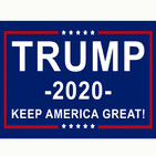 #20 ¿Puede ganar Trump en 2020?: Lo que dejaron las Midterms