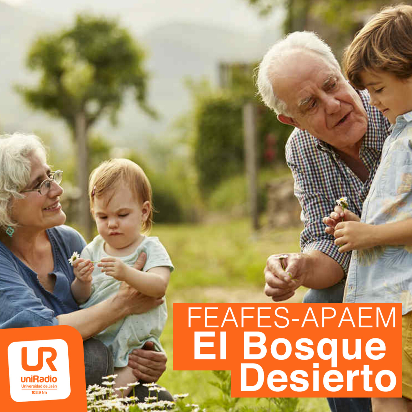 EL BOSQUE DESIERTO
