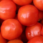 Alimentos para la gastritis